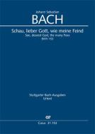 Schau, lieber Gott, wie meine Feind BWV 153 Download