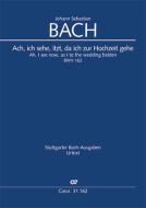 Ach, ich sehe, itzt, da ich zur Hochzeit gehe BWV 162 Download