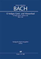 O heilges Geist- und Wasserbad BWV 165 Download