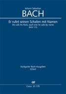 Er rufet seinen Schafen mit Namen Download