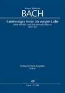Barmherziges Herze der ewigen Liebe Download