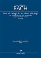 Was mir behagt, ist nur die muntre Jagd BWV 208 Download