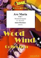 Ave Maria WAB 7 Standard