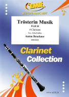 Trösterin Musik WAB 88 Download