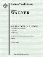 Wesendonck Lieder: No. 5, Träume 