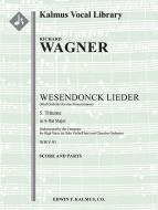 Wesendonck Lieder: No. 5, Träume 