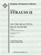 An der Schoenen, Blauen Donau Walzer, Op. 314 