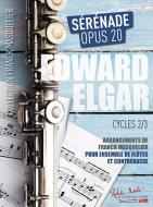 Sérénade Op.20 