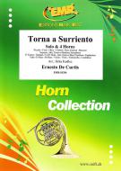 Komm zurück nach Sorrent Standard