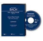 Jesu, meine Freude BWV 227 Download