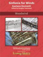 Sinfonia for Winds in G minor, A 509 