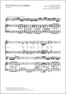 Was Gott tut, das ist wohlgetan G-Dur BWV 75, 7 Download