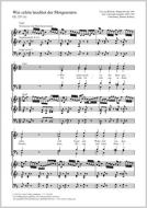 Wie schön leuchtet der Morgenstern F-Dur (1733) Download