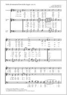 Sollt ich meinem Gott nicht singen Download