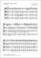 D'Bäurin hat d'Katz verlorn Download