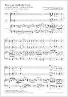 Eine neue strahlende Sonne Download