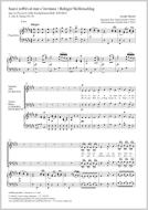 Soavi zeffiri al mar c'invitano (Herrscher der Meere) Download