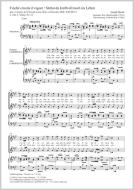 Finchè circola il vigore (Stehst du kraftvoll noch im Leben) Download