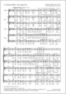 Letztes Glück Download