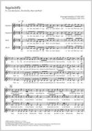 Segelschiffe: "Sie haben das mächtige Meer unterm Bauch" Download