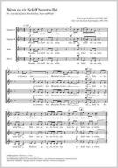 Wenn du ein Schiff bauen willst Download