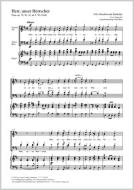 Herr, unser Herrscher MWV 70 Download