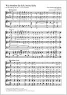 Was betrübst du dich, meine Seele MWV 42 Download