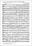 Herr, nun lässest du deinen Diener in Frieden fahren Download