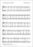 Tu solus qui facis mirabilia dorisch Download