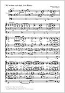 Wir wollen euch aber, liebe Brüder Download