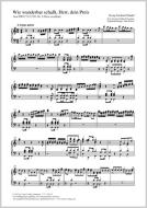 Wie wunderbar schallt, Herr, dein Preis Download