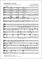 O Dunkelheit o Elend! Download