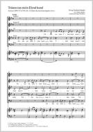 Tränen tun mein Elend kund Download