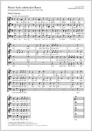 Meine Seele erhebt den Herren Download