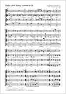 Siehe, dein König kommt zu dir a-Moll Download