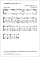 Mitten wir im Leben sind Download