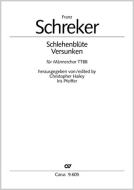 Schlehenblüte; Versunken Download
