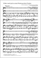 O Herr, mach mich zu einem Werkzeug deines Friedens Download