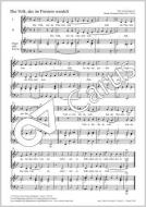 Das Volk, das im Finstern wandelt Download