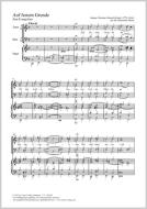 Auf festem Grunde Download