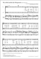 Wie schön leuchtet der Morgenstern Download