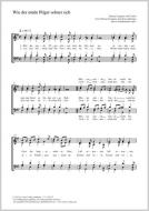 Wie der müde Pilger sehnet sich Download