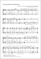 Auf einem Baum ein Kuckuck saß Download