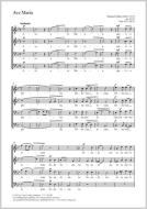 Ave Maria B-Dur op. 60, 25 Download
