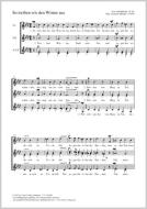 So treiben wir den Winter aus Download