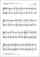 Herr, mein Gott, leit uns Download