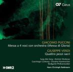 Wild Asters Download