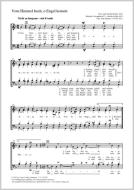 Vom Himmel hoch, o Engel kommt Download