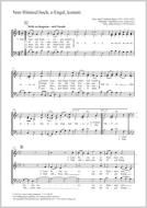 Vom Himmel hoch, o Engel, kommt Download