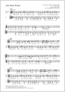 Ach, bittrer Winter Download